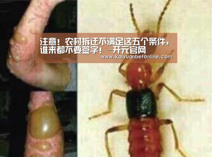 注意!农村拆迁不满足这五个条件,谁来都不要签字!-开元官网(图2) 开元APP