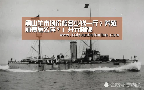 黑山羊市场价格多少钱一斤?养殖前景怎么样?:开元棋牌(图3) 开元竞猜