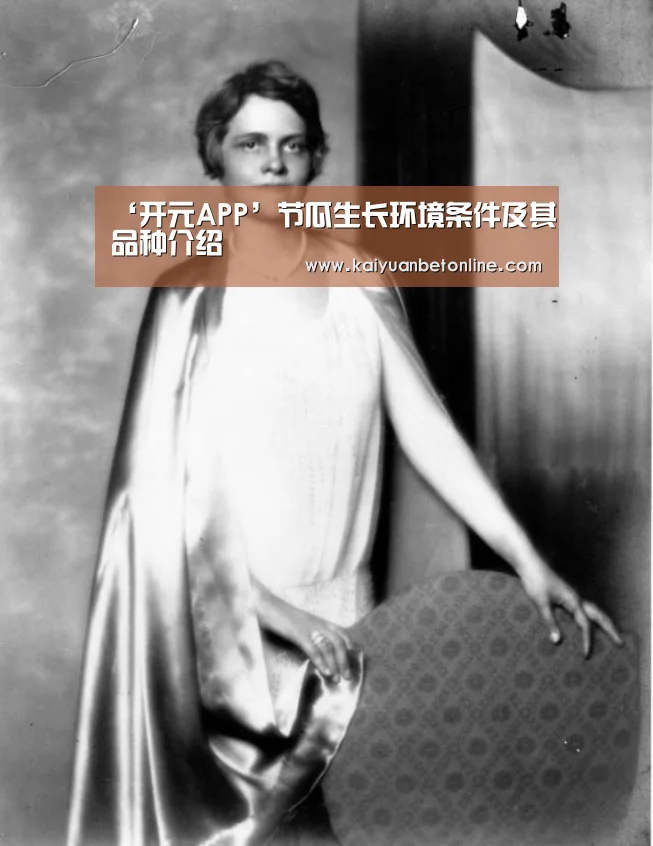 ‘开元APP’节瓜生长环境条件及其品种介绍(图2) 开元棋牌