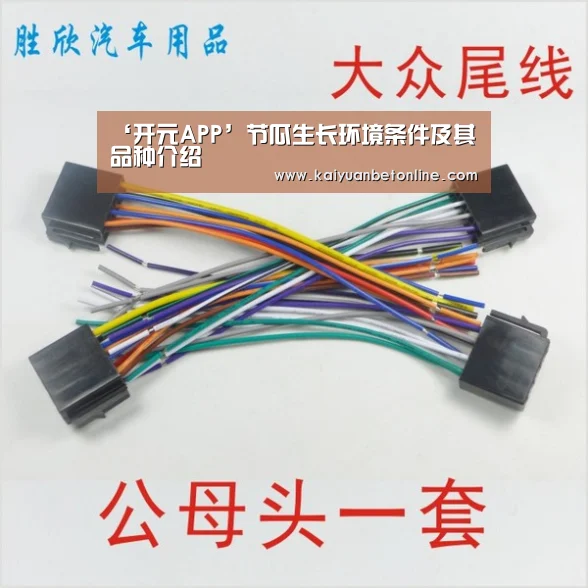 ‘开元APP’节瓜生长环境条件及其品种介绍(图3) 开元棋牌