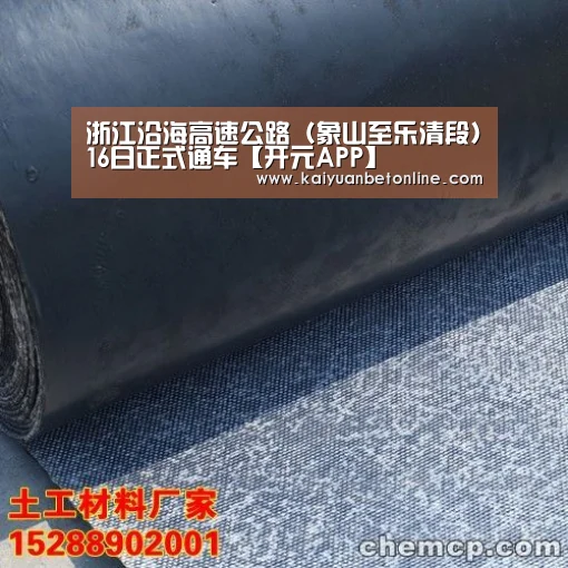 浙江沿海高速公路(象山至乐清段)16日正式通车【开元APP】(图1) 开元竞猜