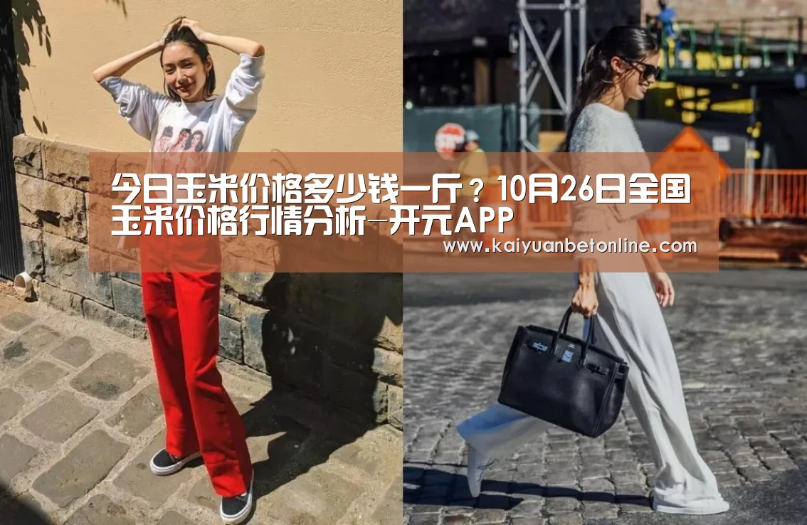 今日玉米价格多少钱一斤?10月26日全国玉米价格行情分析-开元APP(图1) 开元竞猜