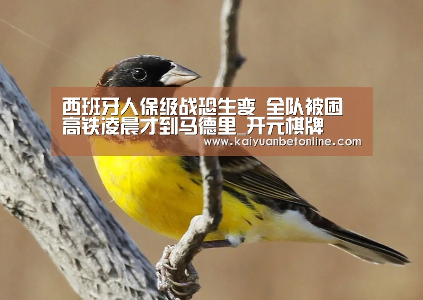 西班牙人保级战恐生变 全队被困高铁凌晨才到马德里_开元棋牌(图2) 开元APP