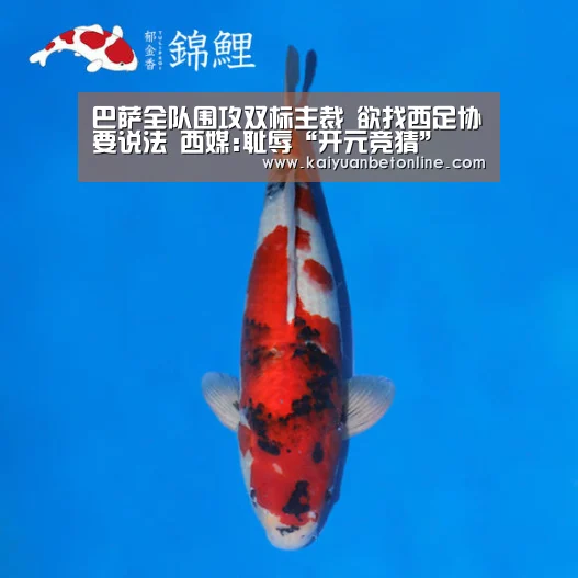 巴萨全队围攻双标主裁 欲找西足协要说法 西媒:耻辱“开元竞猜”(图4) 开元官网