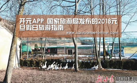 开元官网