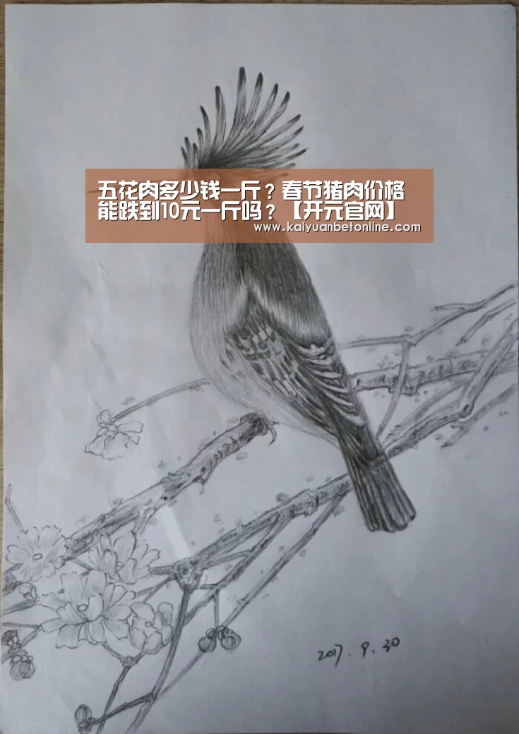 五花肉多少钱一斤?春节猪肉价格能跌到10元一斤吗?【开元官网】(图1) 开元官网