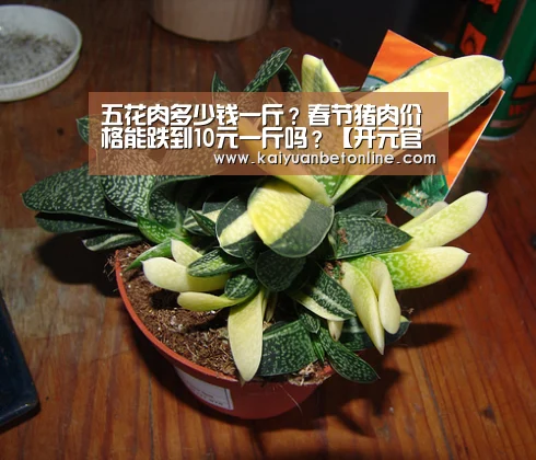 五花肉多少钱一斤?春节猪肉价格能跌到10元一斤吗?【开元官网】(图2) 开元官网