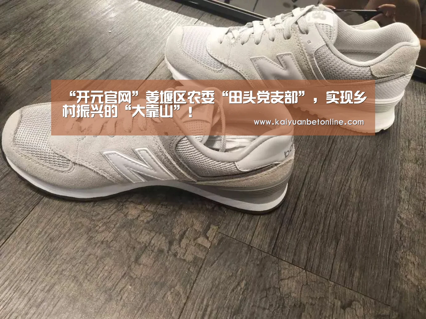 “开元官网”姜堰区农委“田头党支部”,实现乡村振兴的“大靠山”!(图3) 开元棋牌