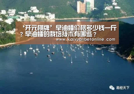 ‘开元棋牌’早油蟠价格多少钱一斤?早油蟠的栽培技术有哪些?(图1) 开元竞猜