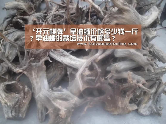 ‘开元棋牌’早油蟠价格多少钱一斤?早油蟠的栽培技术有哪些?(图2) 开元APP