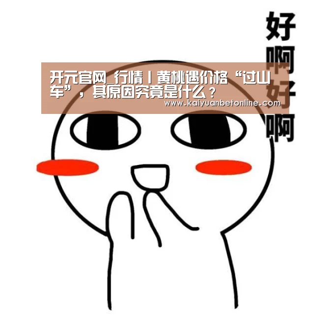 开元官网_行情丨黄桃遇价格“过山车”,其原因究竟是什么?(图1) 开元竞猜